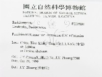 登錄號:F0019281藏品圖，第3張