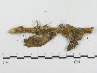 登錄號:F0019281藏品圖，第4張
