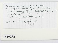 登錄號:F0019283藏品圖，第2張