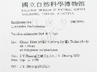 登錄號:F0019283藏品圖，第3張