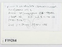 登錄號:F0019284藏品圖，第2張