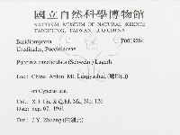登錄號:F0019284藏品圖，第3張