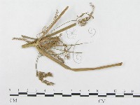 登錄號:F0019284藏品圖，第4張