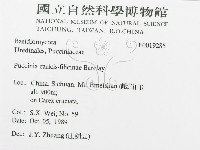 登錄號:F0019285藏品圖，第3張