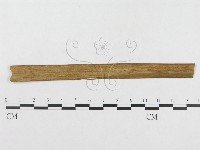 登錄號:F0019285藏品圖，第4張