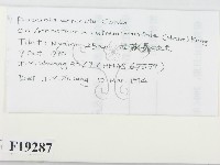 登錄號:F0019287藏品圖，第2張