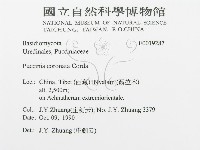 登錄號:F0019287藏品圖，第3張