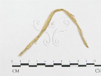 登錄號:F0019287藏品圖，第1張