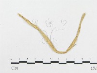 登錄號:F0019287藏品圖，第4張
