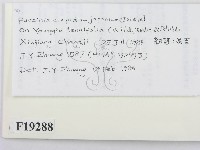 登錄號:F0019288藏品圖，第2張