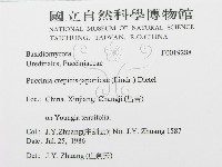 登錄號:F0019288藏品圖，第3張