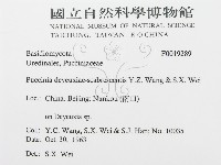 登錄號:F0019289藏品圖，第3張