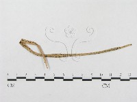 登錄號:F0019289藏品圖，第1張