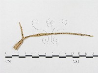 登錄號:F0019289藏品圖，第4張