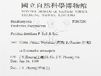 登錄號:F0019290藏品圖，第3張