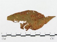 登錄號:F0019290藏品圖，第4張