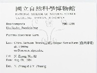 登錄號:F0019291藏品圖，第3張