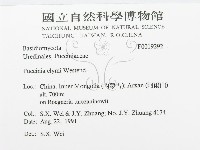 登錄號:F0019292藏品圖，第3張