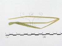 登錄號:F0019292藏品圖，第1張