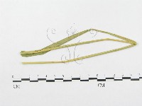 登錄號:F0019292藏品圖，第4張