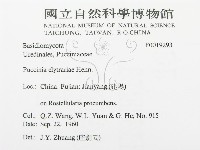 登錄號:F0019293藏品圖，第3張