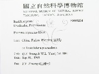 登錄號:F0019294藏品圖，第3張