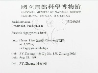 登錄號:F0019295藏品圖，第3張