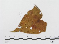 登錄號:F0019295藏品圖，第4張