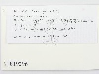 登錄號:F0019296藏品圖，第2張