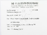 登錄號:F0019296藏品圖，第3張