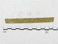 登錄號:F0019298藏品圖，第1張