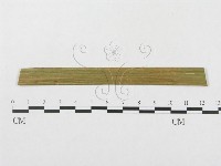 登錄號:F0019298藏品圖，第4張