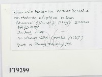 登錄號:F0019299藏品圖，第2張