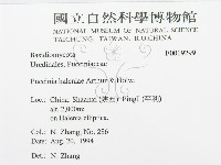 登錄號:F0019299藏品圖，第3張