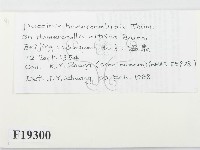 登錄號:F0019300藏品圖，第2張