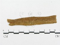 登錄號:F0019300藏品圖，第1張