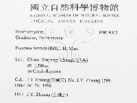 登錄號:F0019301藏品圖，第3張