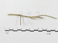 登錄號:F0019301藏品圖，第4張