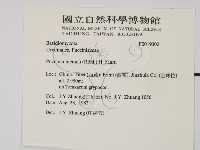 登錄號:F0019302藏品圖，第2張