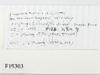 登錄號:F0019303藏品圖，第2張