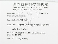 登錄號:F0019303藏品圖，第3張