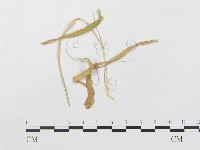 登錄號:F0019303藏品圖，第4張
