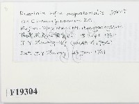 登錄號:F0019304藏品圖，第2張