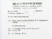 登錄號:F0019304藏品圖，第3張