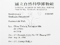 登錄號:F0019305藏品圖，第3張