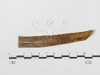 登錄號:F0019305藏品圖，第1張