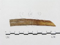 登錄號:F0019305藏品圖，第4張