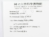登錄號:F0019306藏品圖，第3張