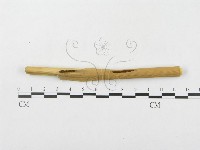 登錄號:F0019306藏品圖，第1張