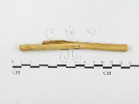 登錄號:F0019306藏品圖，第4張